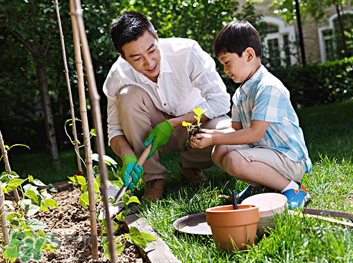入伏種什么菜？入伏適合種哪些蔬菜？