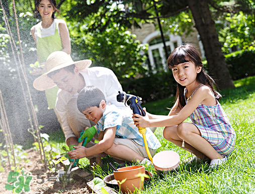 入伏種什么菜？入伏適合種哪些蔬菜？