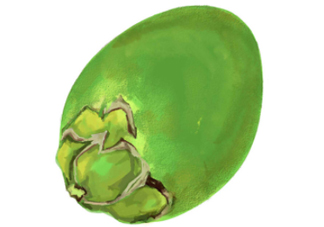 檳榔不能和什么一起吃？檳榔和什么不能一起吃？