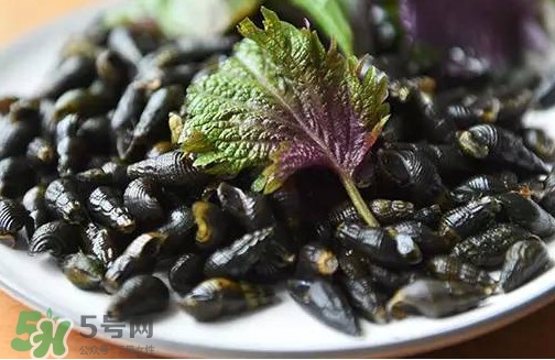 紫蘇是什么植物？紫蘇是發(fā)物嗎？