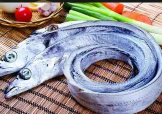 帶魚為什么都是死的？帶魚為什么出水就死？