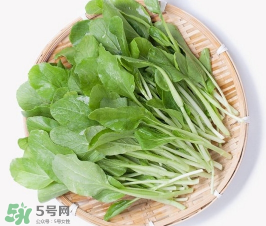 雞毛菜有什么營(yíng)養(yǎng)價(jià)值？雞毛菜的功效與作用