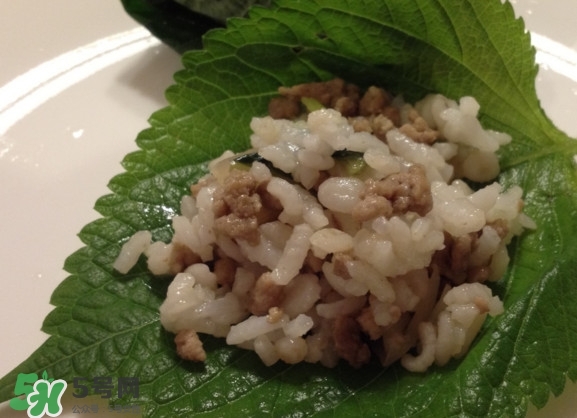 紫蘇和羅勒是一種東西嗎？紫蘇葉對(duì)人體有什么好處