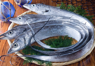 帶魚是咸的嗎？帶魚是無鱗魚嗎