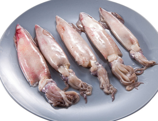 章魚是魷魚嗎？章魚和魷魚有什么區(qū)別