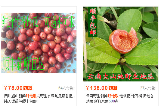 野地瓜哪里可以買到？哪個(gè)地方有種植野地瓜的