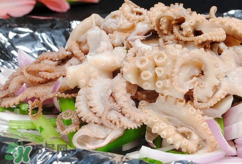 八爪魚是魷魚嗎？八爪魚是章魚嗎