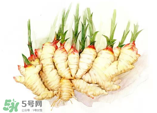 7月份可以種生姜嗎？生姜幾月份種植？