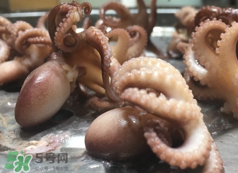 八爪魚(yú)怎么做好吃？八爪魚(yú)怎么保存