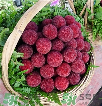 楊梅應(yīng)該怎么洗?楊梅怎么樣才能洗干凈? 楊梅應(yīng)該怎么洗?楊梅怎么樣才能洗干凈?