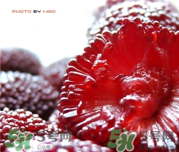 楊梅應(yīng)該怎么洗?楊梅怎么樣才能洗干凈? 楊梅應(yīng)該怎么洗?楊梅怎么樣才能洗干凈?