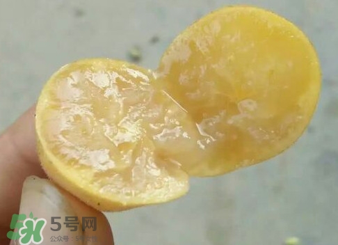 黃皮可以吃皮嗎？黃皮果可以帶皮吃嗎