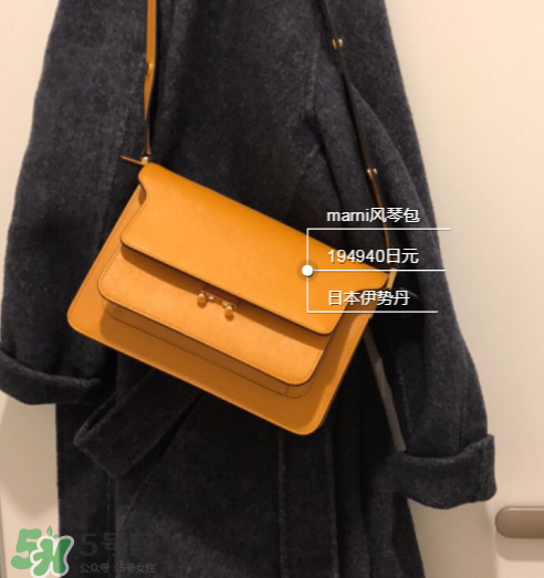 marni風(fēng)琴包尺寸多大？marni風(fēng)琴包尺寸有幾種？