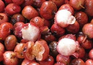 野地瓜哪里可以買到？哪個地方有種植野地瓜的