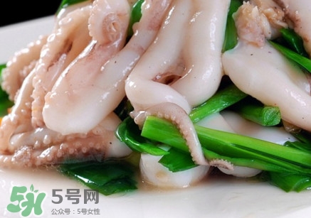 八爪魚是魷魚嗎？八爪魚是章魚嗎