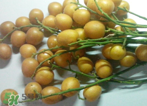 黃皮果可以放冰箱嗎？黃皮果可以放多久