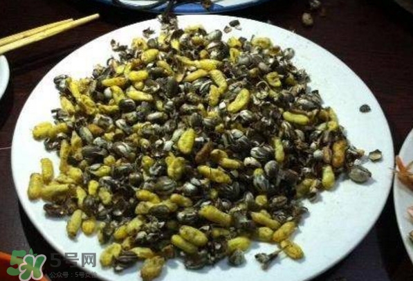 洋辣子是什么？洋辣子能吃嗎？