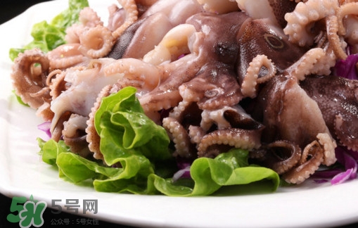 八爪魚是魷魚嗎？八爪魚是章魚嗎