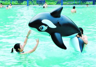 三伏天可以游泳嗎？三伏天游泳會有濕氣嗎？