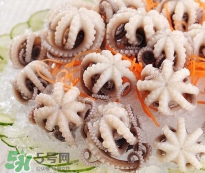 八爪魚(yú)為什么有大米？八爪魚(yú)為什么有墨汁