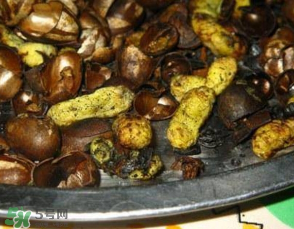 洋辣子是什么？洋辣子能吃嗎？