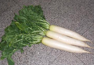 頭伏蘿卜二伏菜是什么意思？頭伏種什么菜？