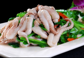 八爪魚是魷魚嗎？八爪魚是章魚嗎