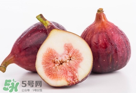 無花果喜陽還是喜陰植物？無花果吃多會怎么樣