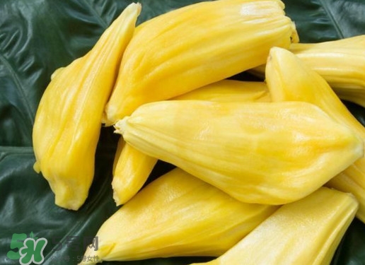 木菠蘿買來怎么吃？木菠蘿吃多了會怎樣？