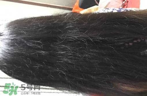 mm魔法梳和tt梳子哪個好？michel mercier和tangle teezer魔法梳