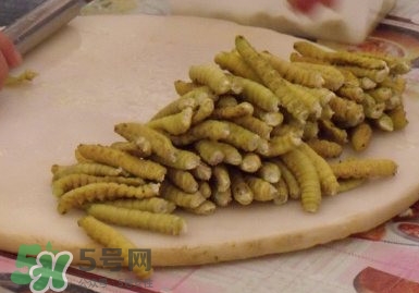 豆丹做菜前怎么處理干凈？豆丹怎么養(yǎng)殖