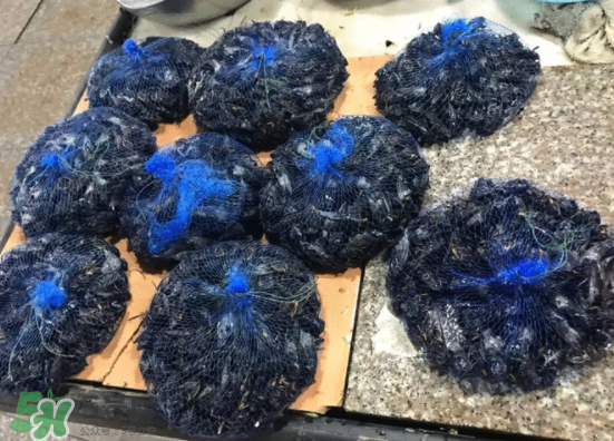 知了多少錢(qián)一斤？知了多少錢(qián)一斤2017？