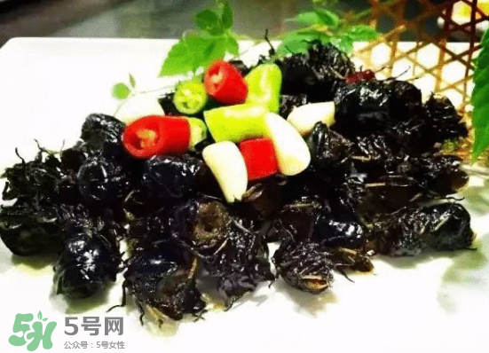 知了多少錢(qián)一斤？知了多少錢(qián)一斤2017？