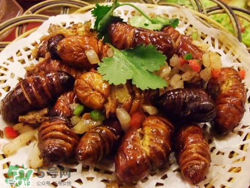 油炸知了猴有毒嗎？油炸知了猴的等與砒霜