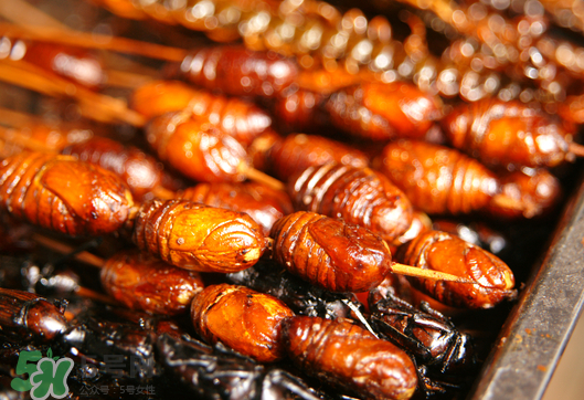 油炸知了猴幾分鐘？油炸知了猴怎么做好吃？