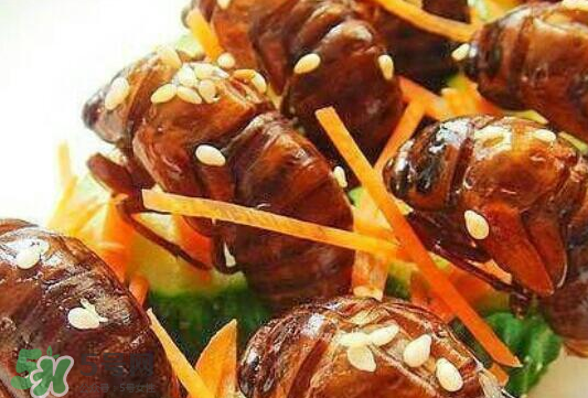 油炸知了猴幾分鐘？油炸知了猴怎么做好吃？