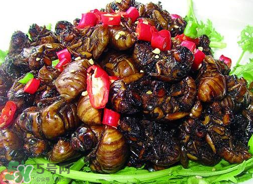 知了猴多少錢一個？油炸知了猴多少錢一盤？