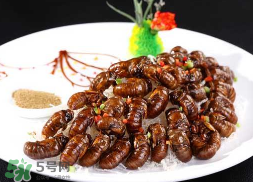 知了不能和什么一起吃？知了猴不能和什么同吃？