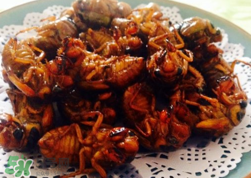 知了不能和什么一起吃？知了猴不能和什么同吃？