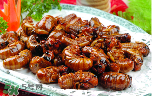 知了不能和什么一起吃？知了猴不能和什么同吃？