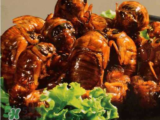 知了猴怎么吃？知了猴什么人不能吃？