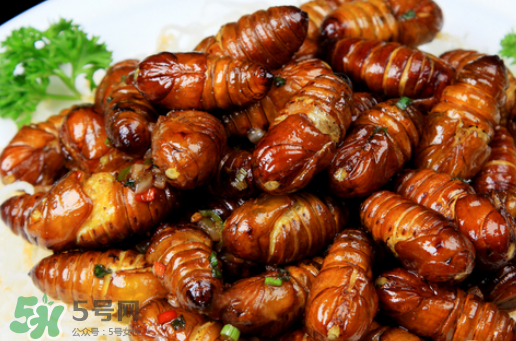 知了猴怎么吃？知了猴什么人不能吃？