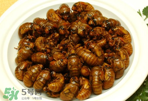 知了猴可以和雞蛋一起吃嗎？知了和雞蛋可以一起吃嗎？