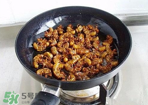 知了猴可以和雞蛋一起吃嗎？知了和雞蛋可以一起吃嗎？