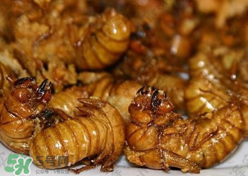 知了猴可以和雞蛋一起吃嗎？知了和雞蛋可以一起吃嗎？