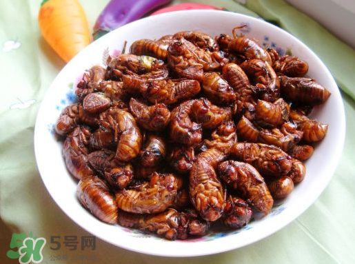 知了怎么洗干凈？知了猴怎么清洗？