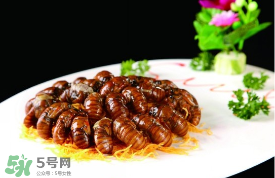 知了猴孕婦可以吃嗎？孕婦能吃知了猴嗎？