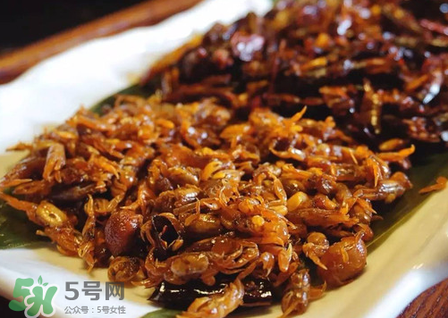 知了猴可以放冰箱嗎？知了猴可以冷凍嗎？