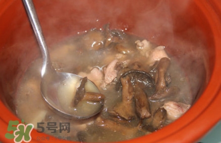 重陽菌孕婦可以吃嗎？重陽菌怎樣保存才新鮮