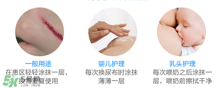 拜耳護臀膏有激素嗎？拜耳護臀膏含不含激素？